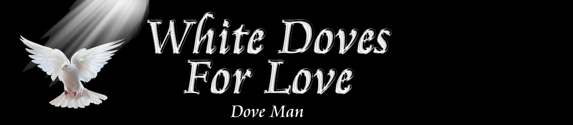 Dove Man White Dove Releases
